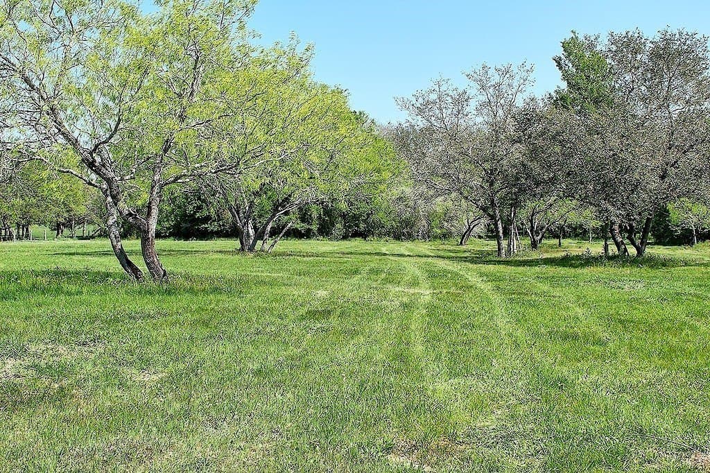 33.6 acres in Colorado County gallery image 2