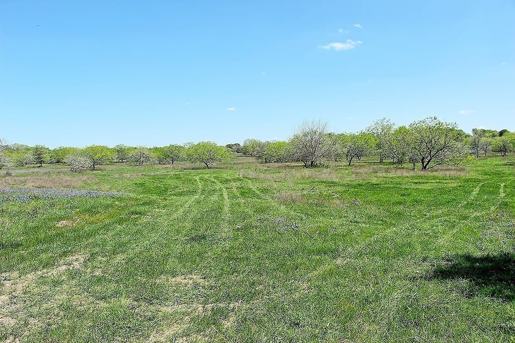 33.6 acres in Colorado County featured view
