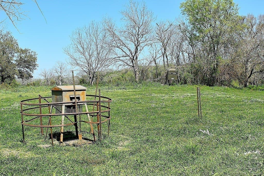 33.6 acres in Colorado County - photo 15