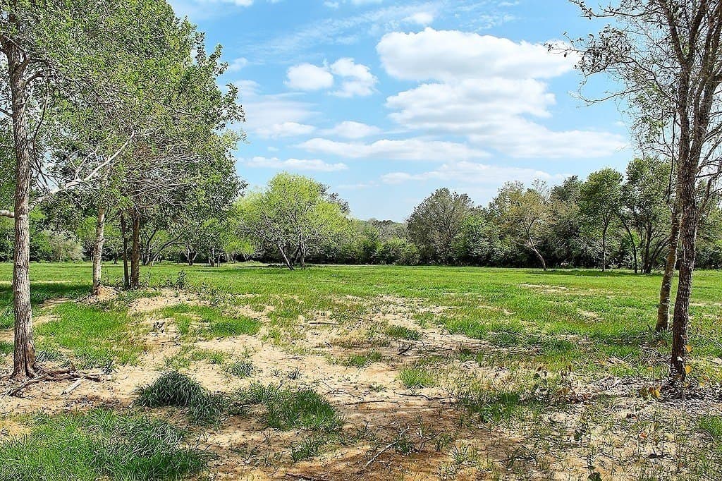 33.6 acres in Colorado County - photo 9
