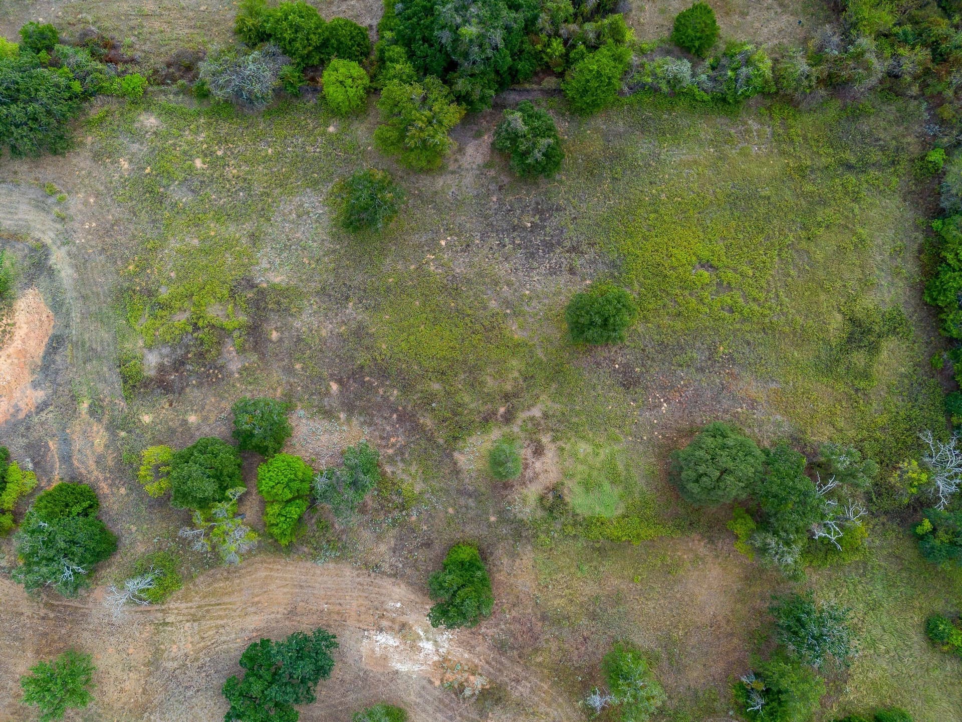 4.02 acres in Johnson County - photo 12