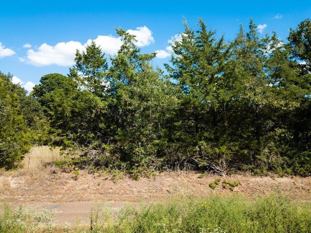 1.76 acres in Texas County - photo 22