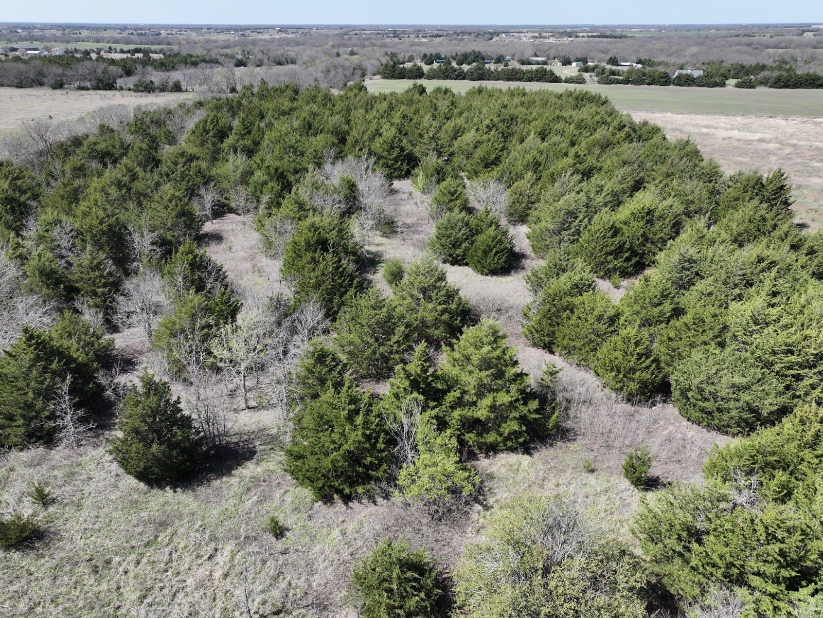 10.07 acres in Fannin County featured view