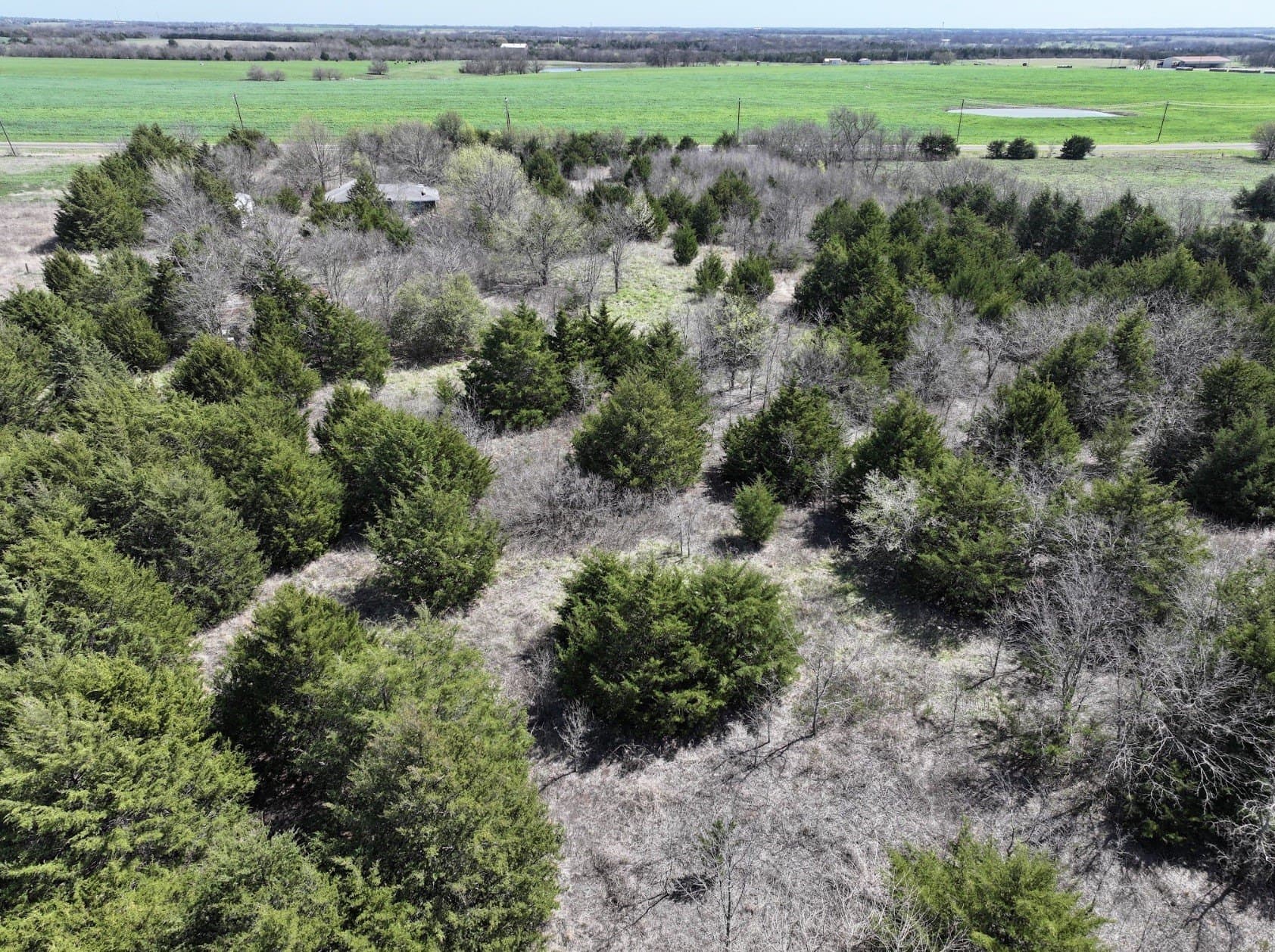10.07 acres in Fannin County gallery image 3
