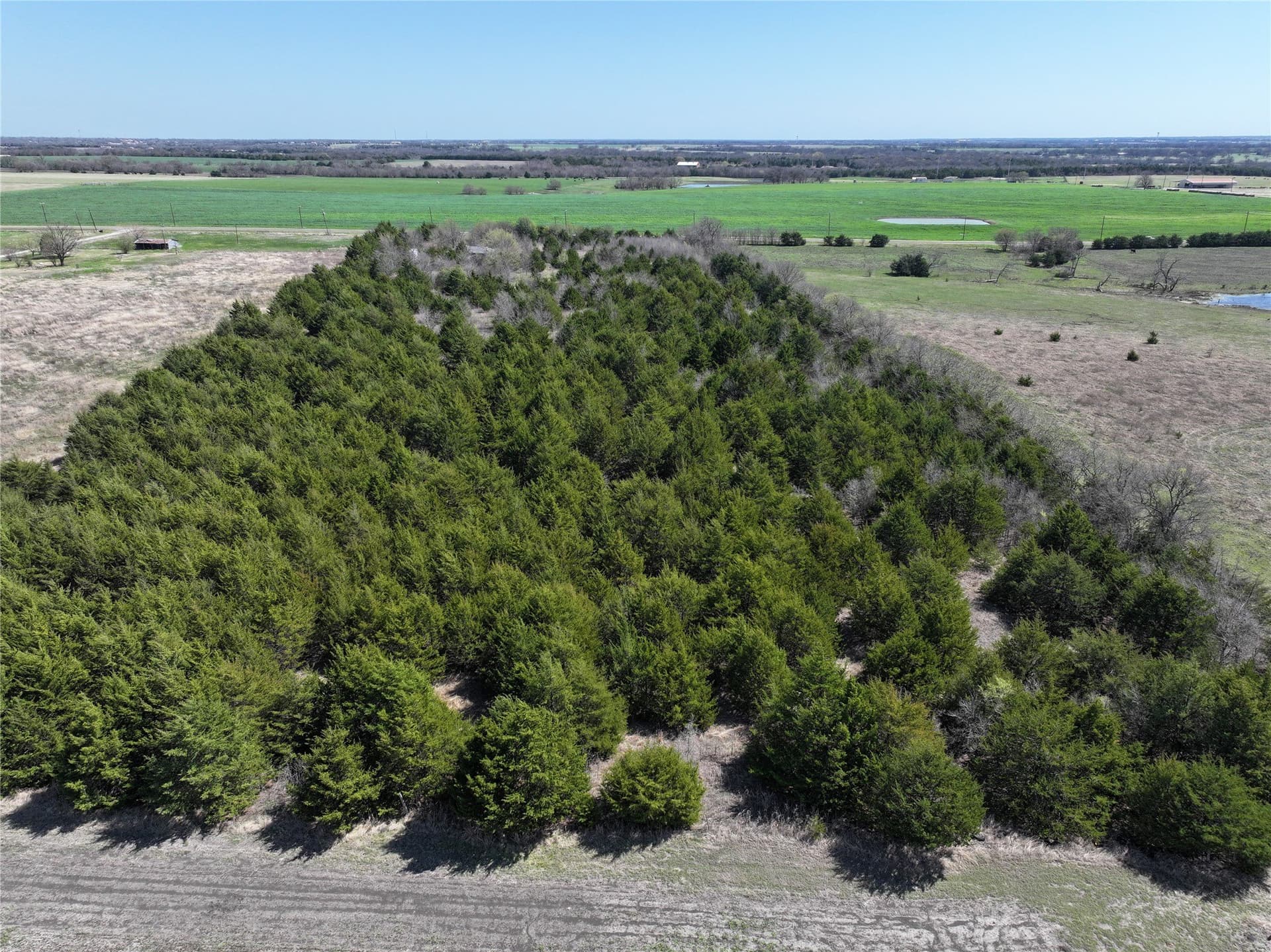 10.07 acres in Fannin County gallery image 2
