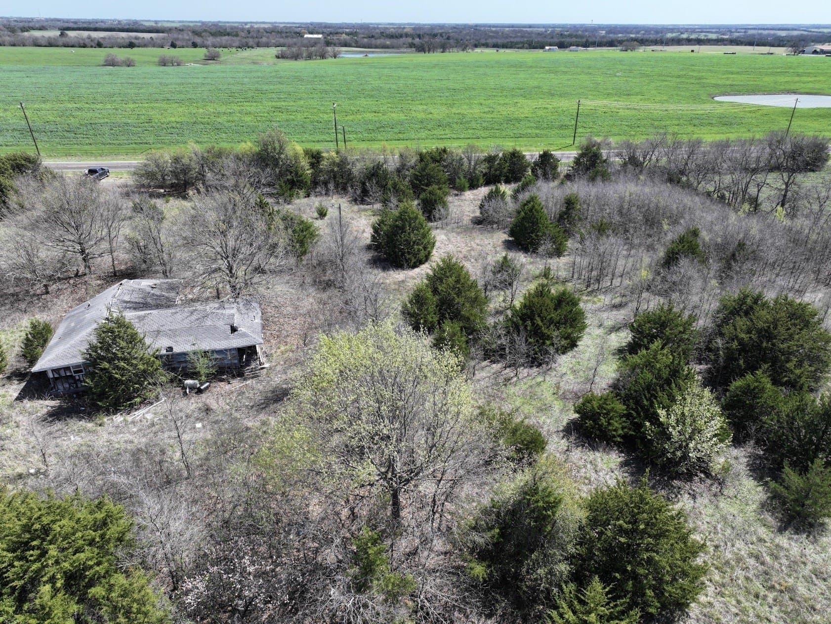 10.07 acres in Fannin County gallery image 4