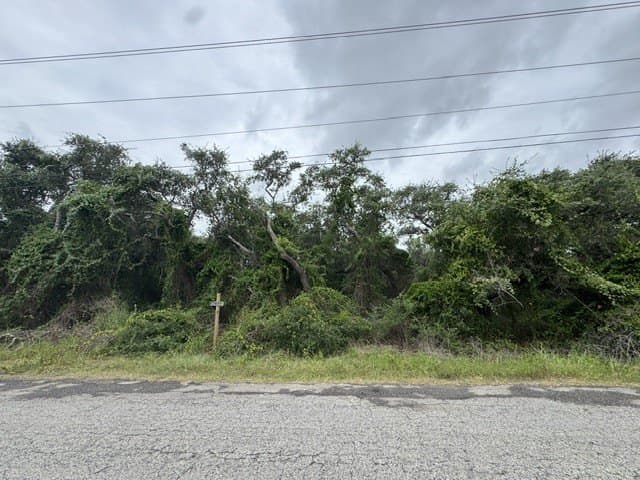 2.34 acres in San Patricio County gallery image 2