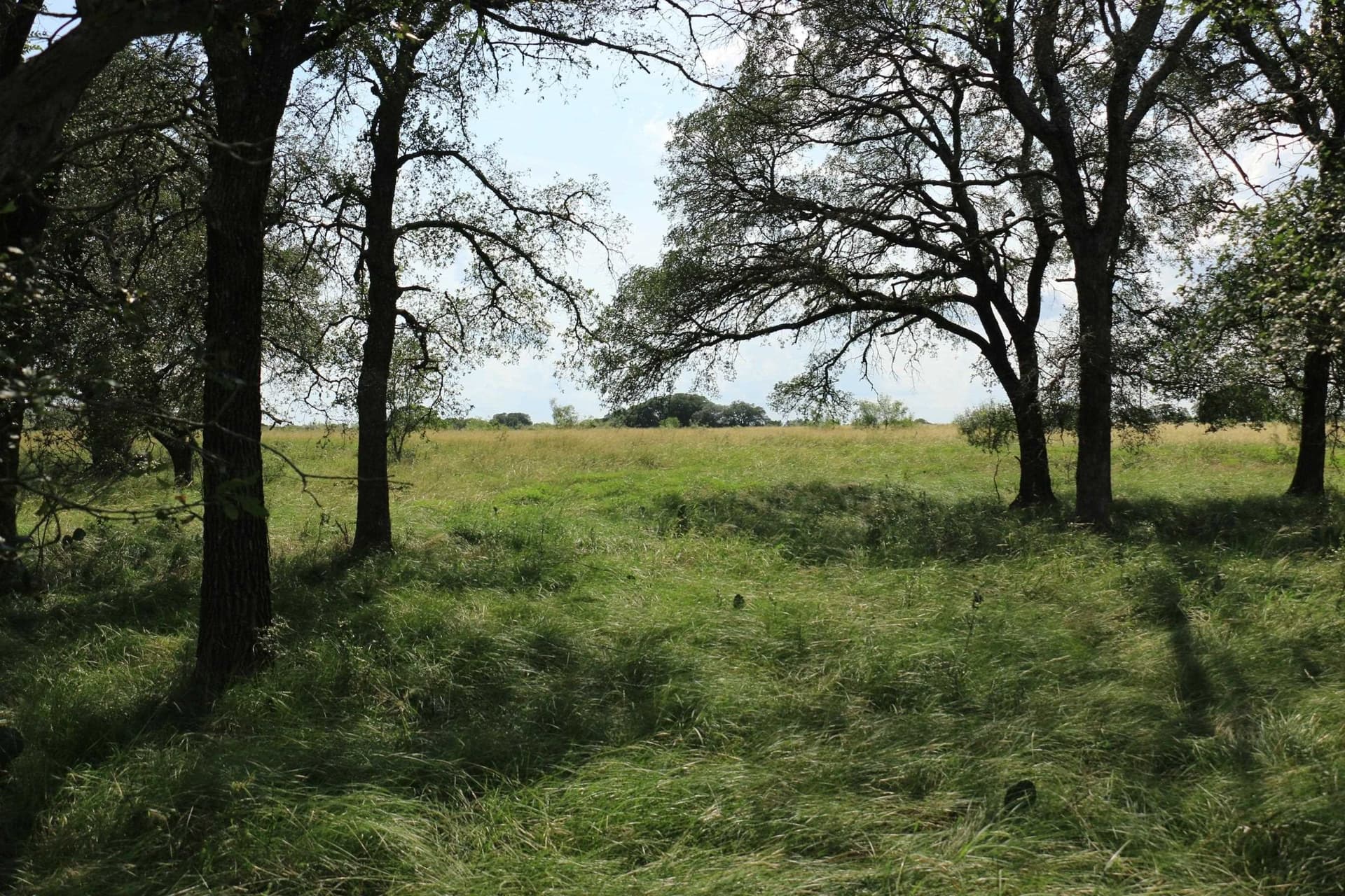24 acres in Burnet County