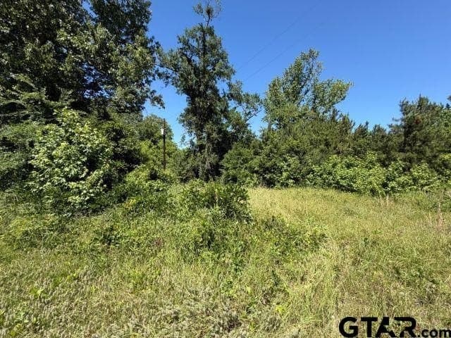 5.3 acres in Rusk County gallery image 3