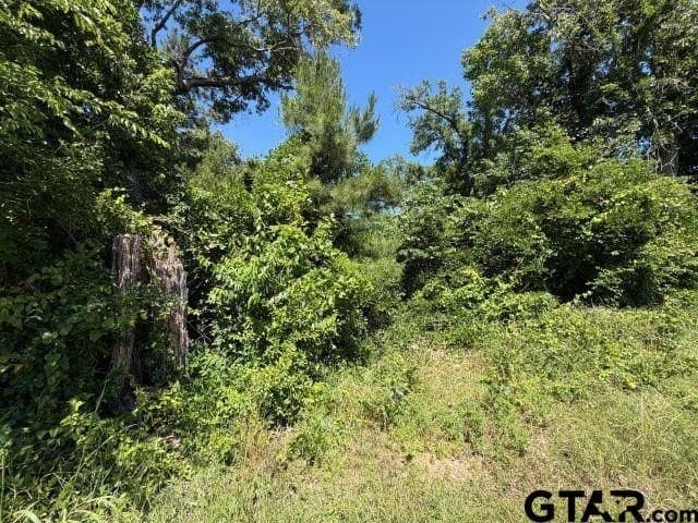 5.3 acres in Rusk County gallery image 4