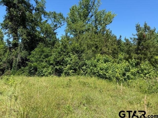 5.3 acres in Rusk County featured view