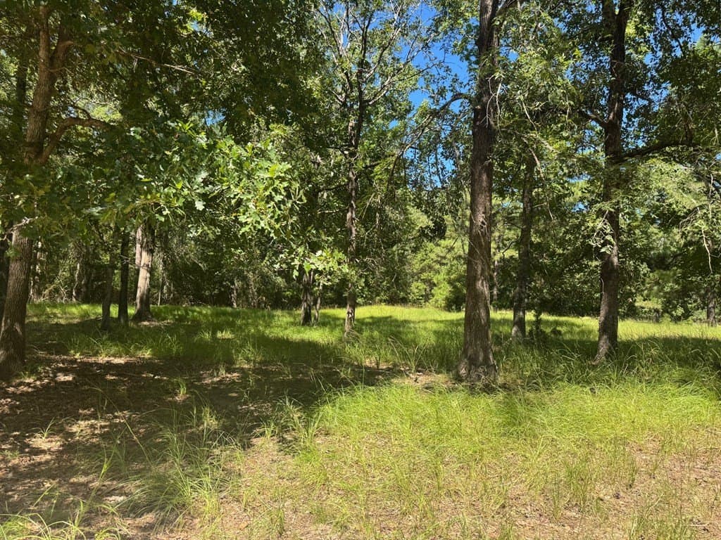 20.97 acres in Texas County gallery image 2