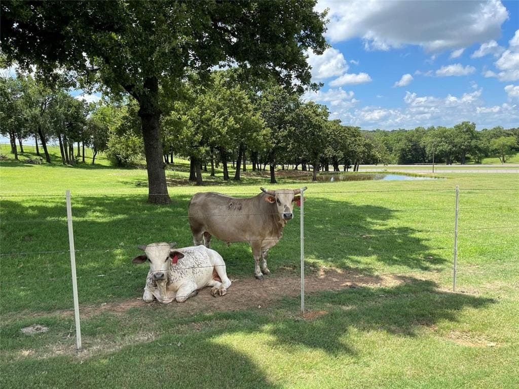 25.08 acres in Cooke County featured view