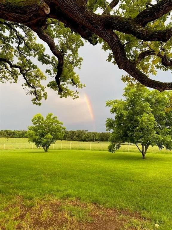 25.08 acres in Cooke County gallery image 4