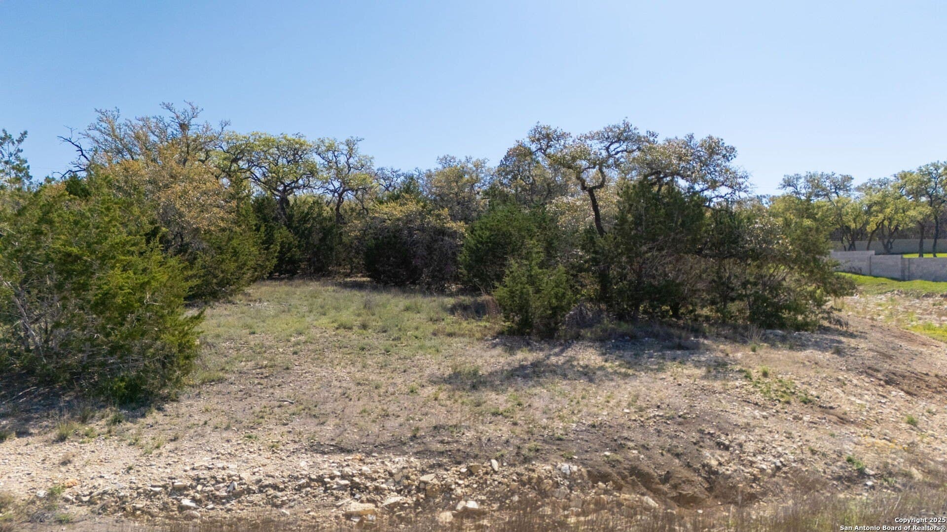 1.01 acres in Comal County gallery image 3