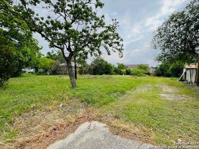0.25 acres in Bexar County gallery image 3