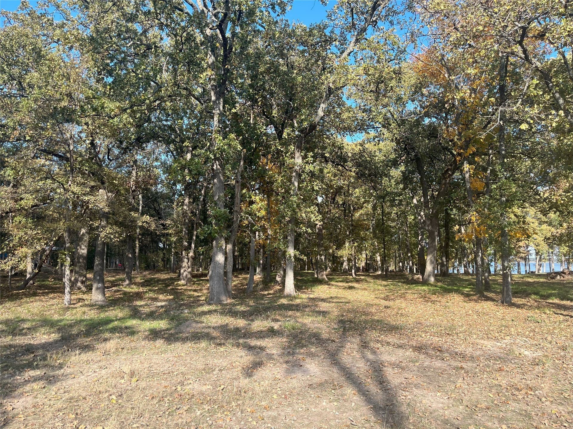 1 acres in Hunt County - photo 7