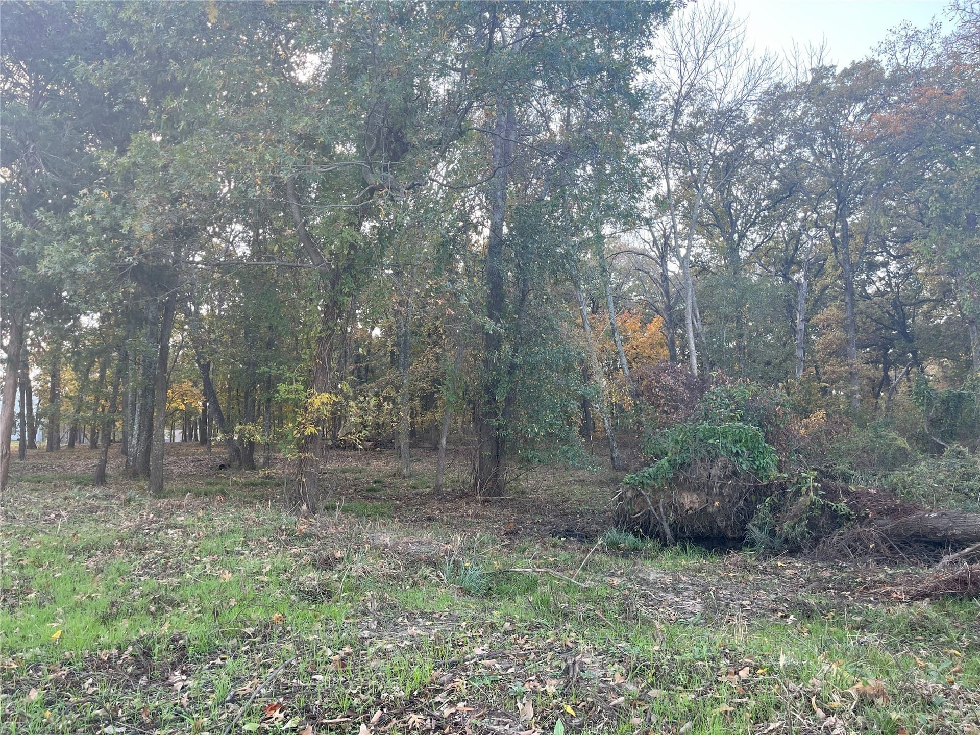 1 acres in Hunt County - photo 14