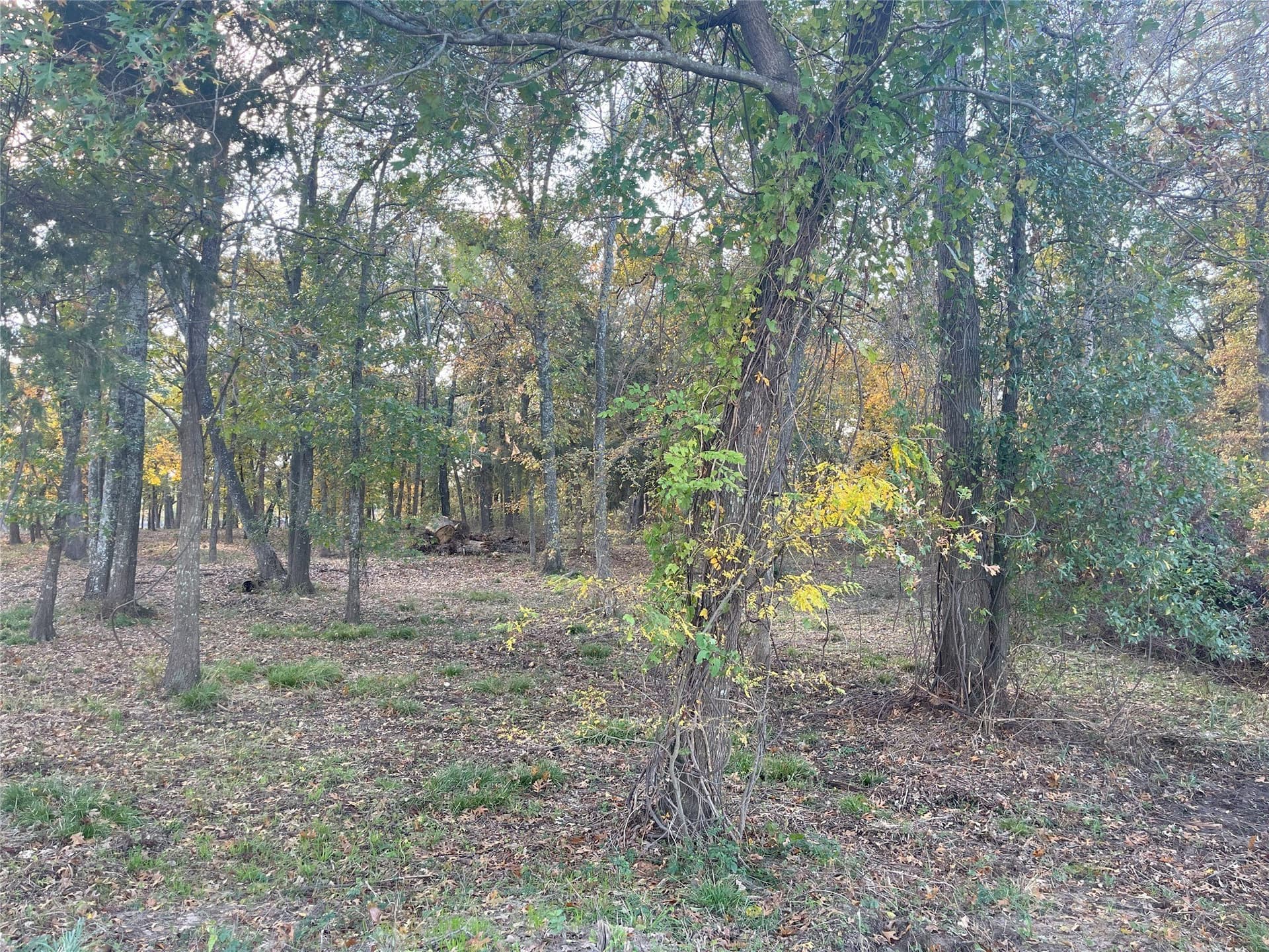 1 acres in Hunt County - photo 15
