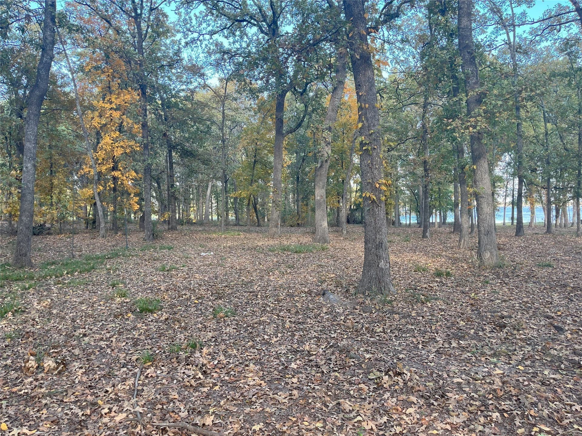 1 acres in Hunt County - photo 8