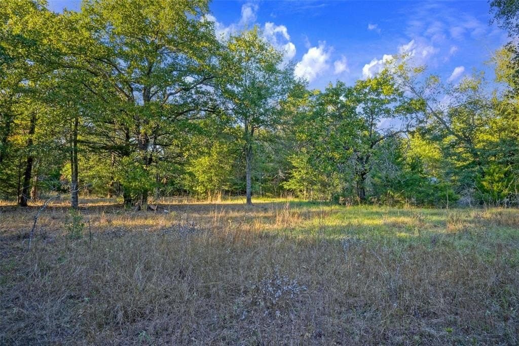 5 acres in Freestone County