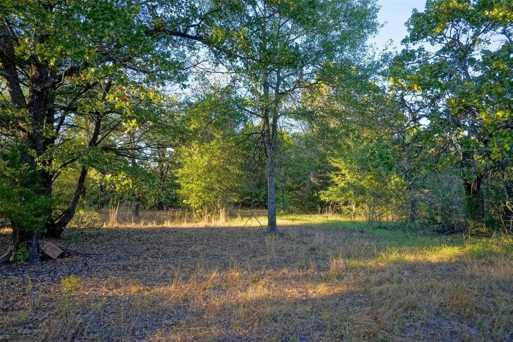 5 acres in Freestone County gallery image 4