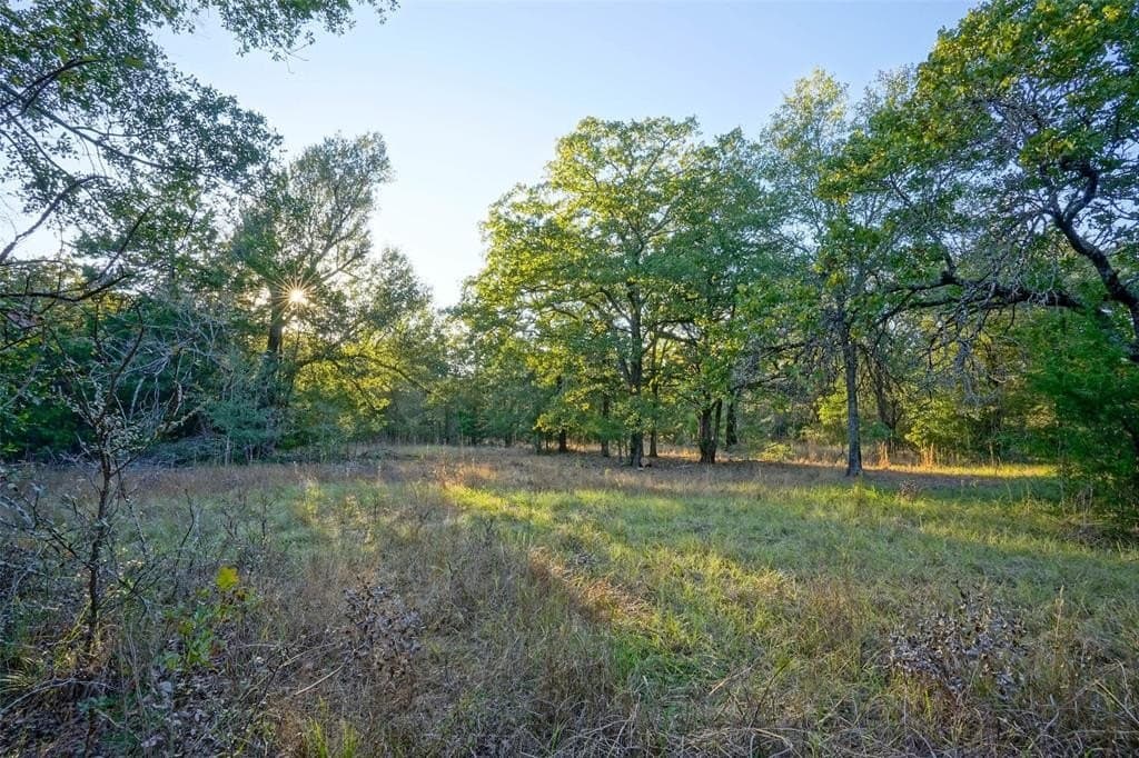 5 acres in Freestone County featured view