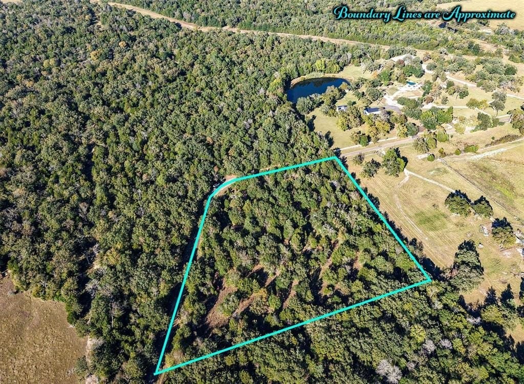 5 acres in Freestone County gallery image 3