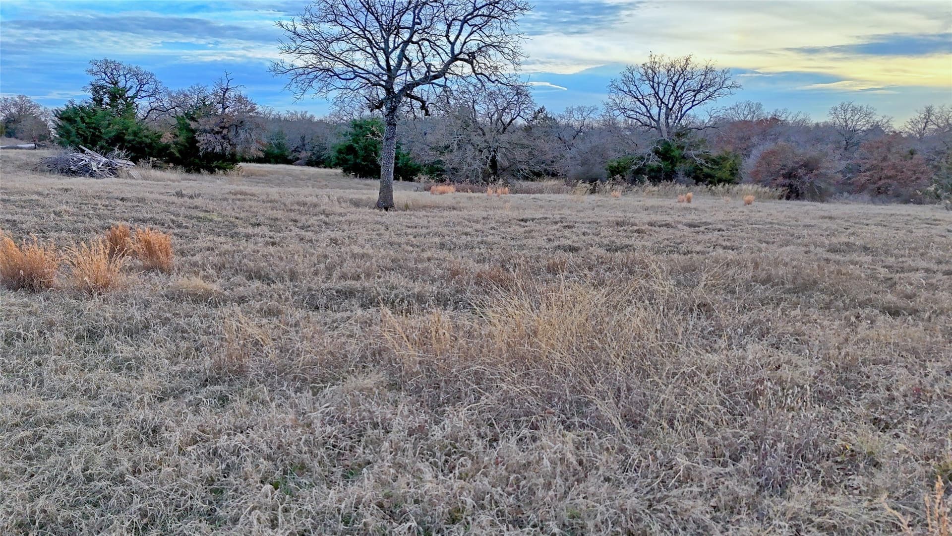 12.47 acres in Montague County - photo 35