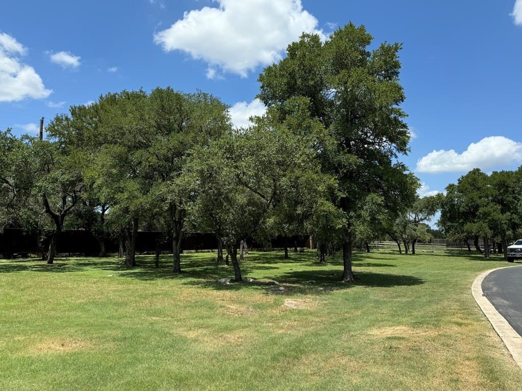 0.2 acres in Comal County gallery image 4