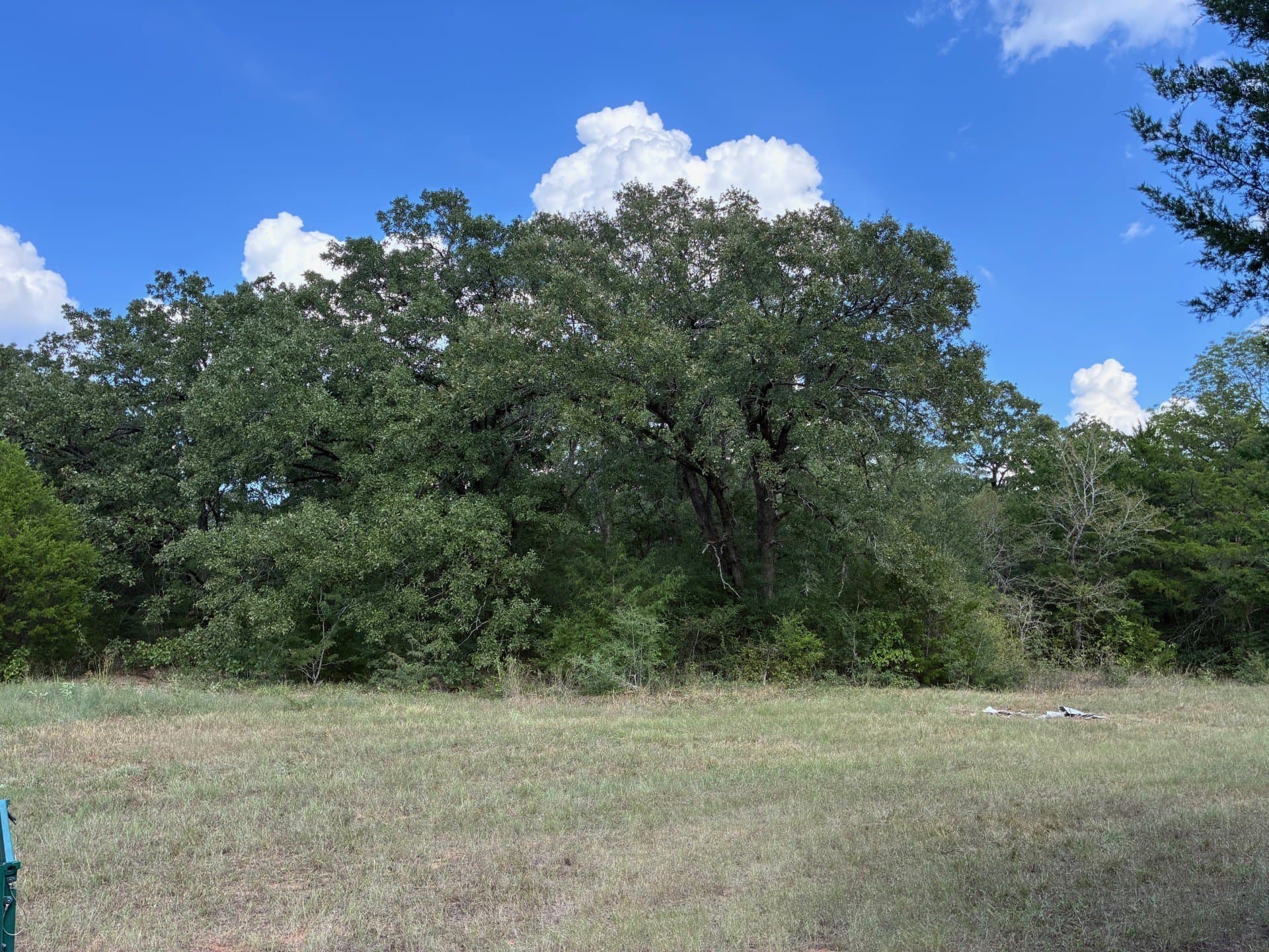 107.76 acres in Freestone County - photo 19