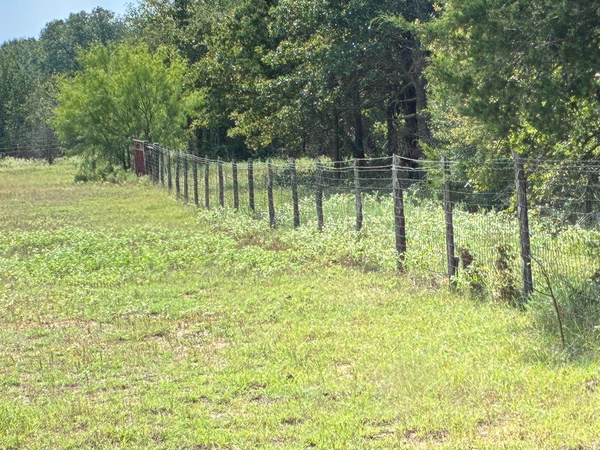107.76 acres in Freestone County - photo 5