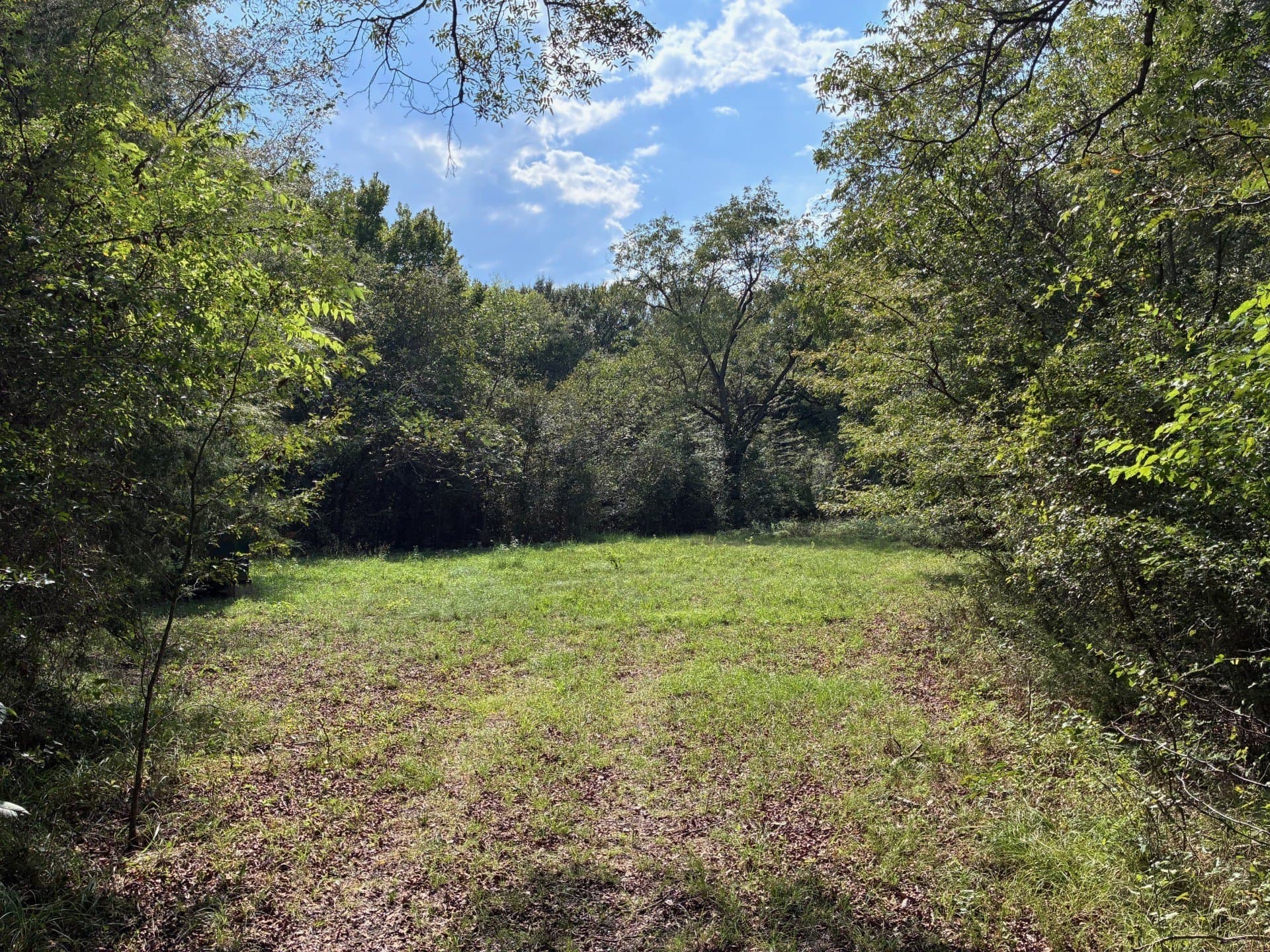 107.76 acres in Freestone County - photo 2