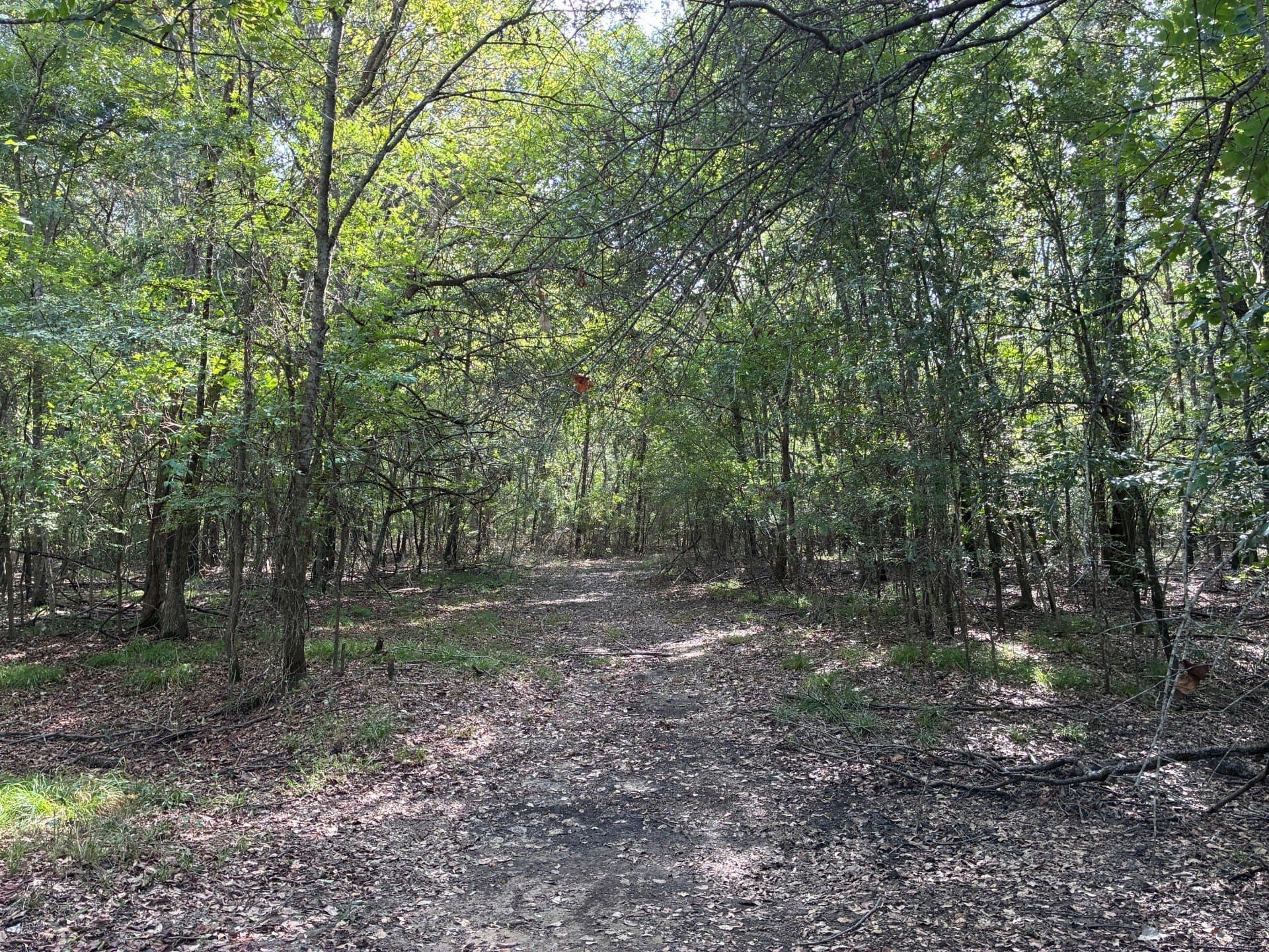 107.76 acres in Freestone County - photo 13