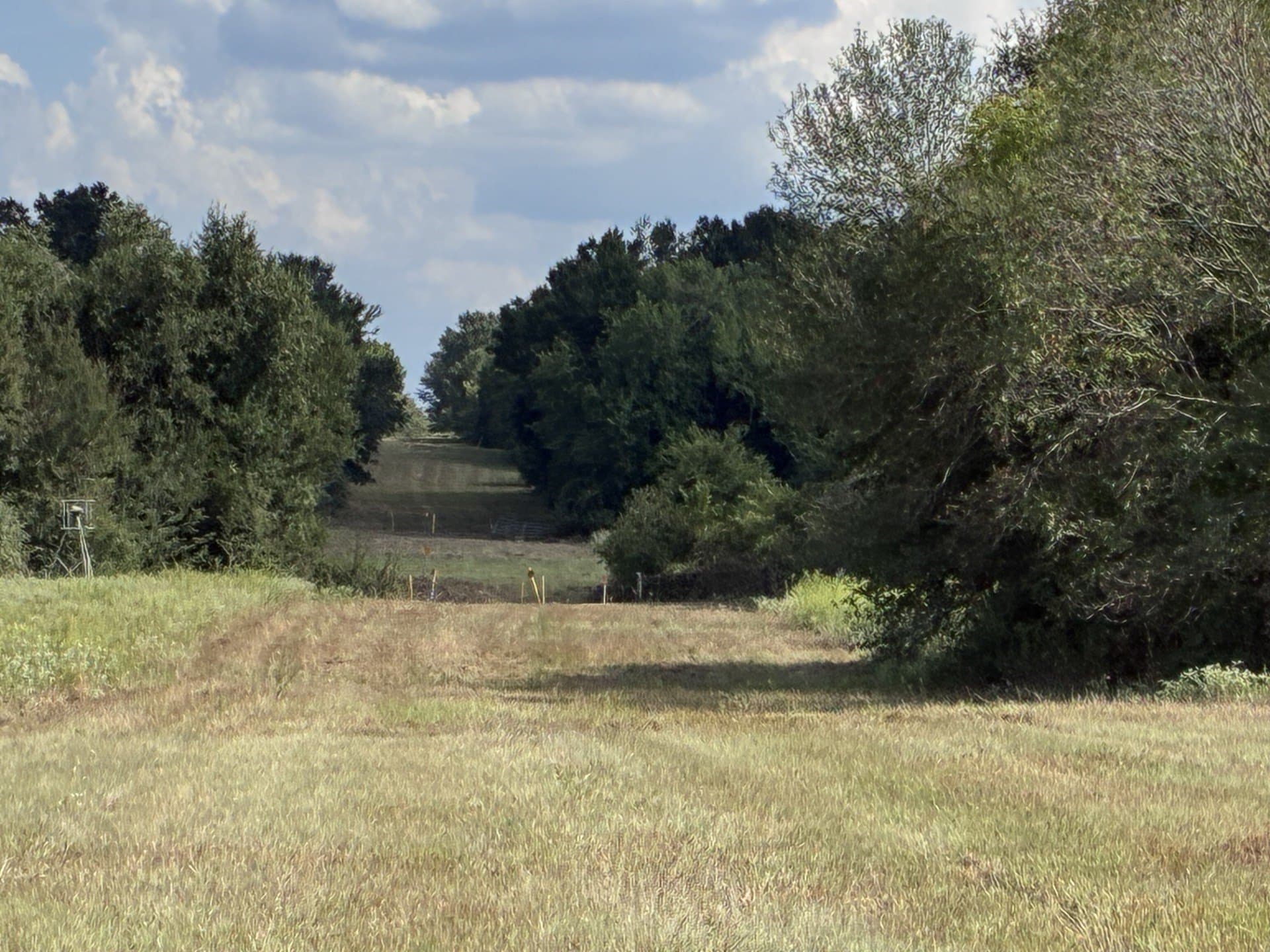 107.76 acres in Freestone County - photo 8