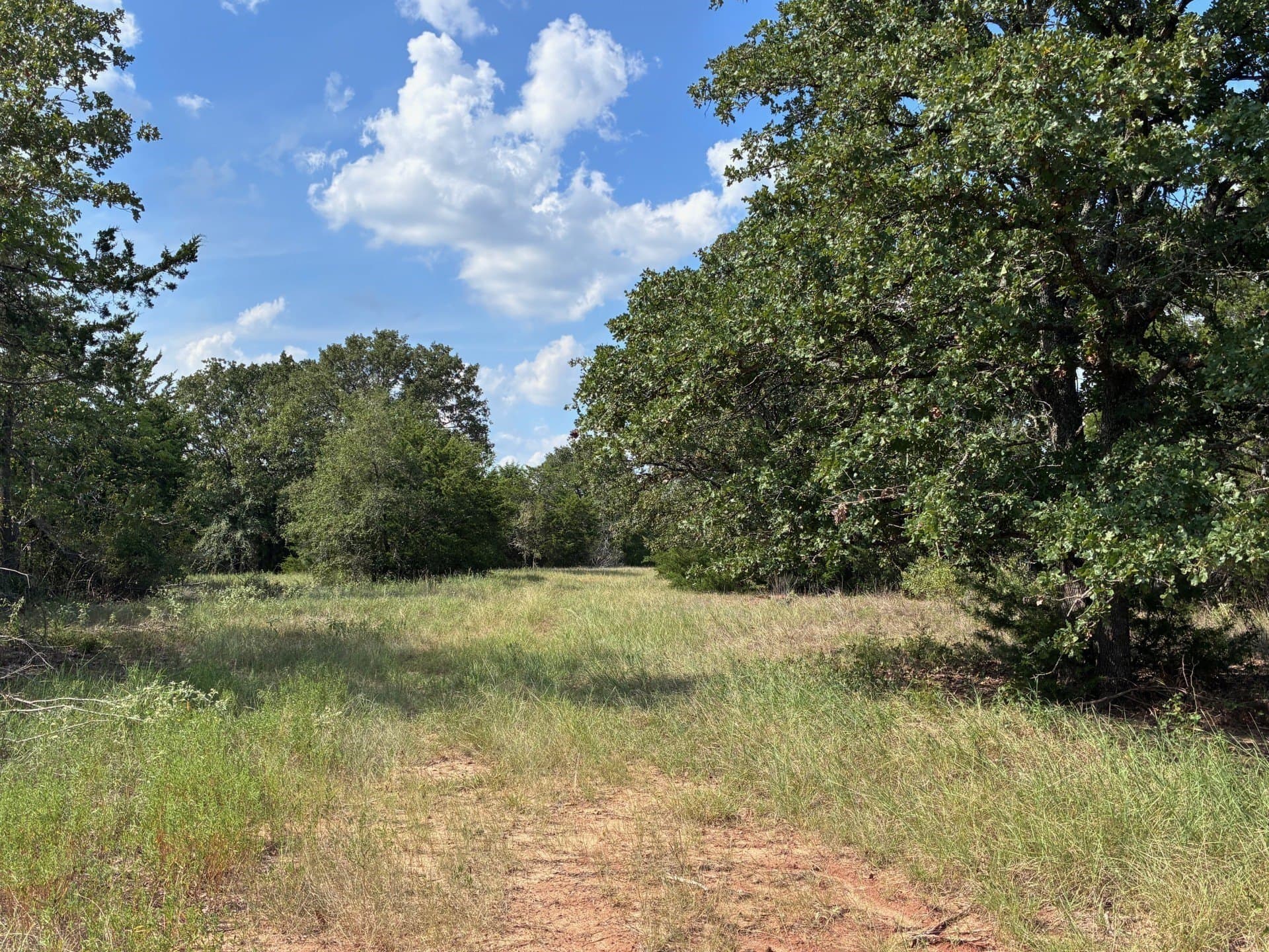107.76 acres in Freestone County - photo 7