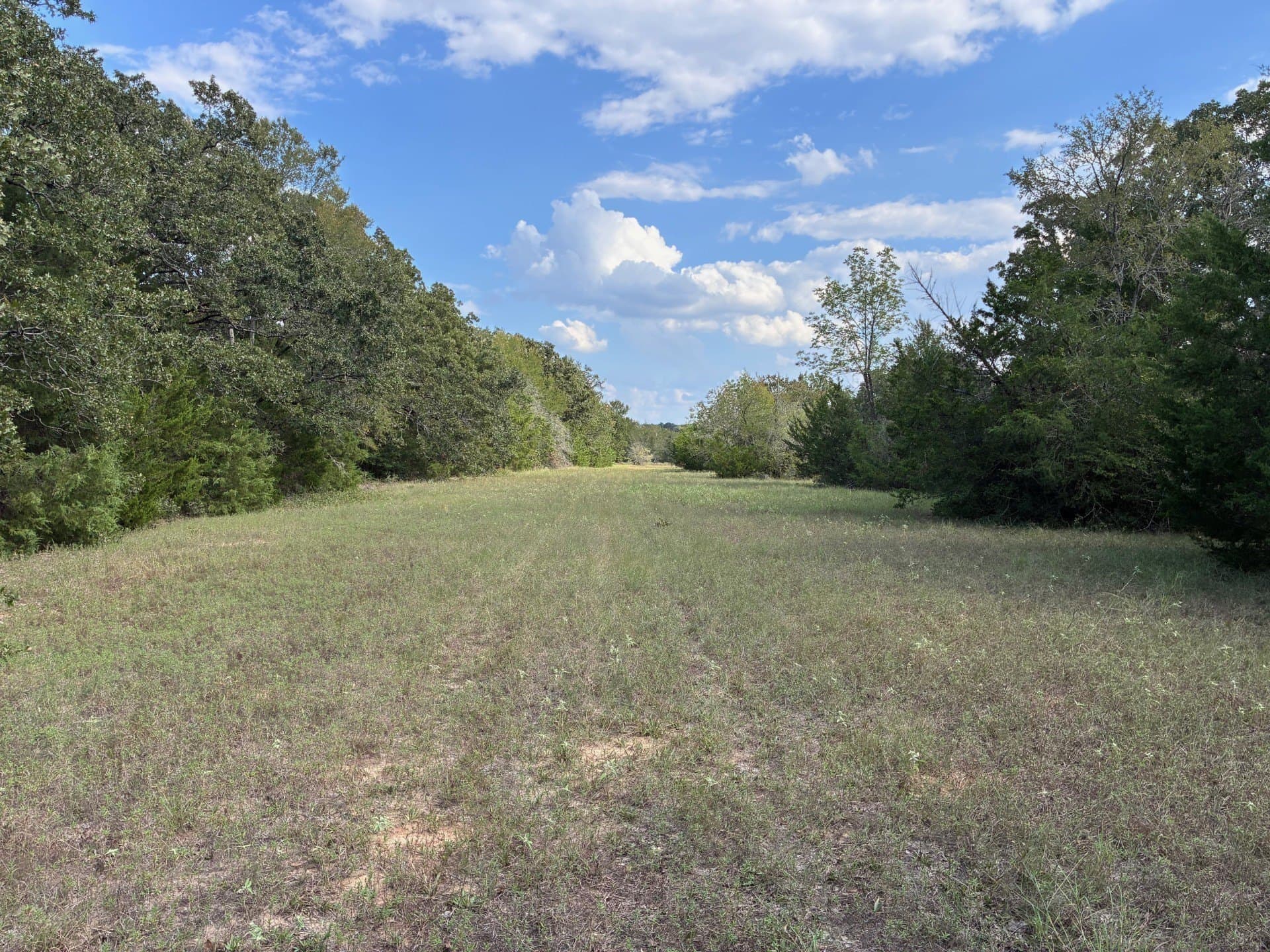 107.76 acres in Freestone County - photo 4