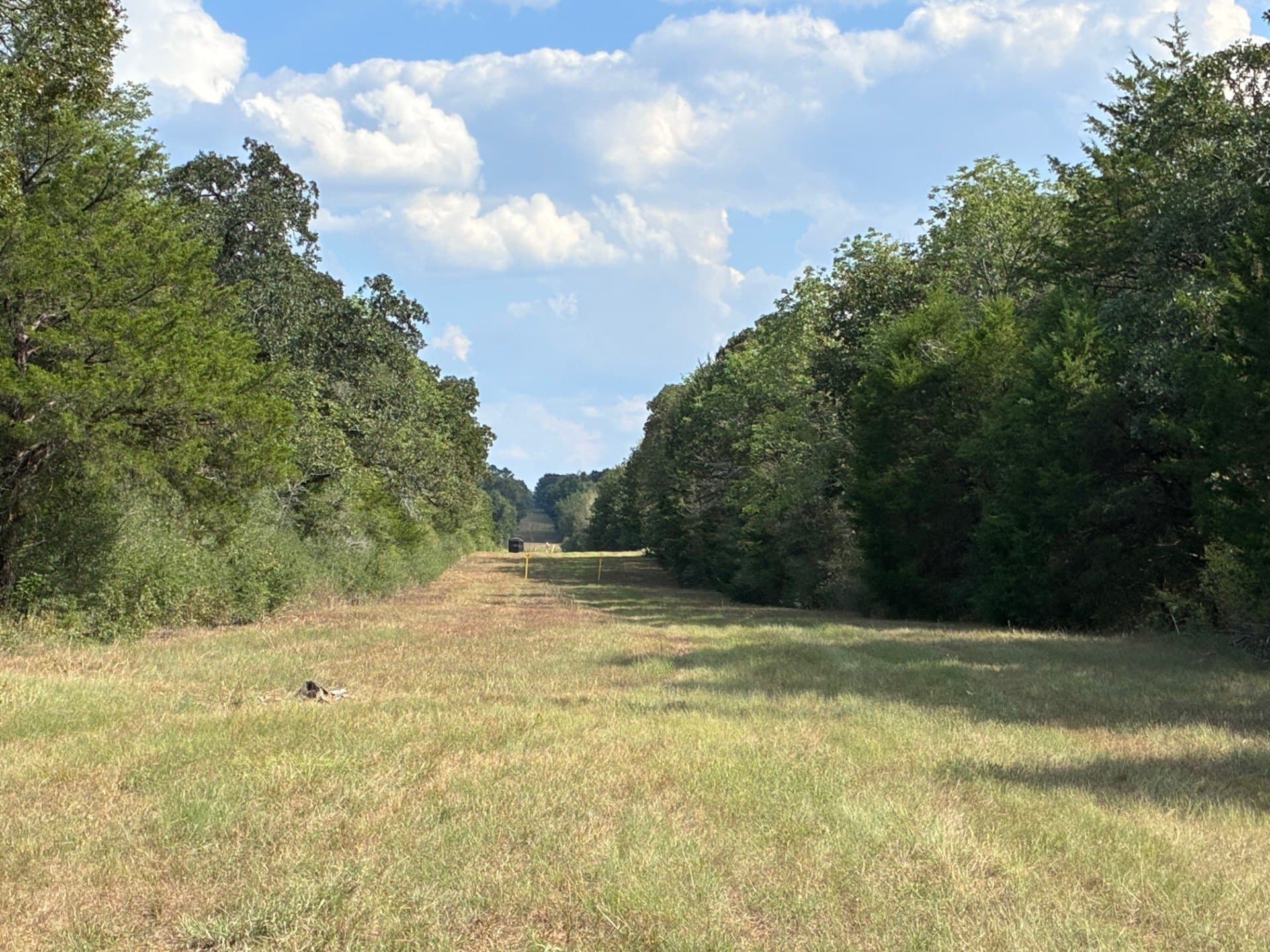 107.76 acres in Freestone County - photo 20