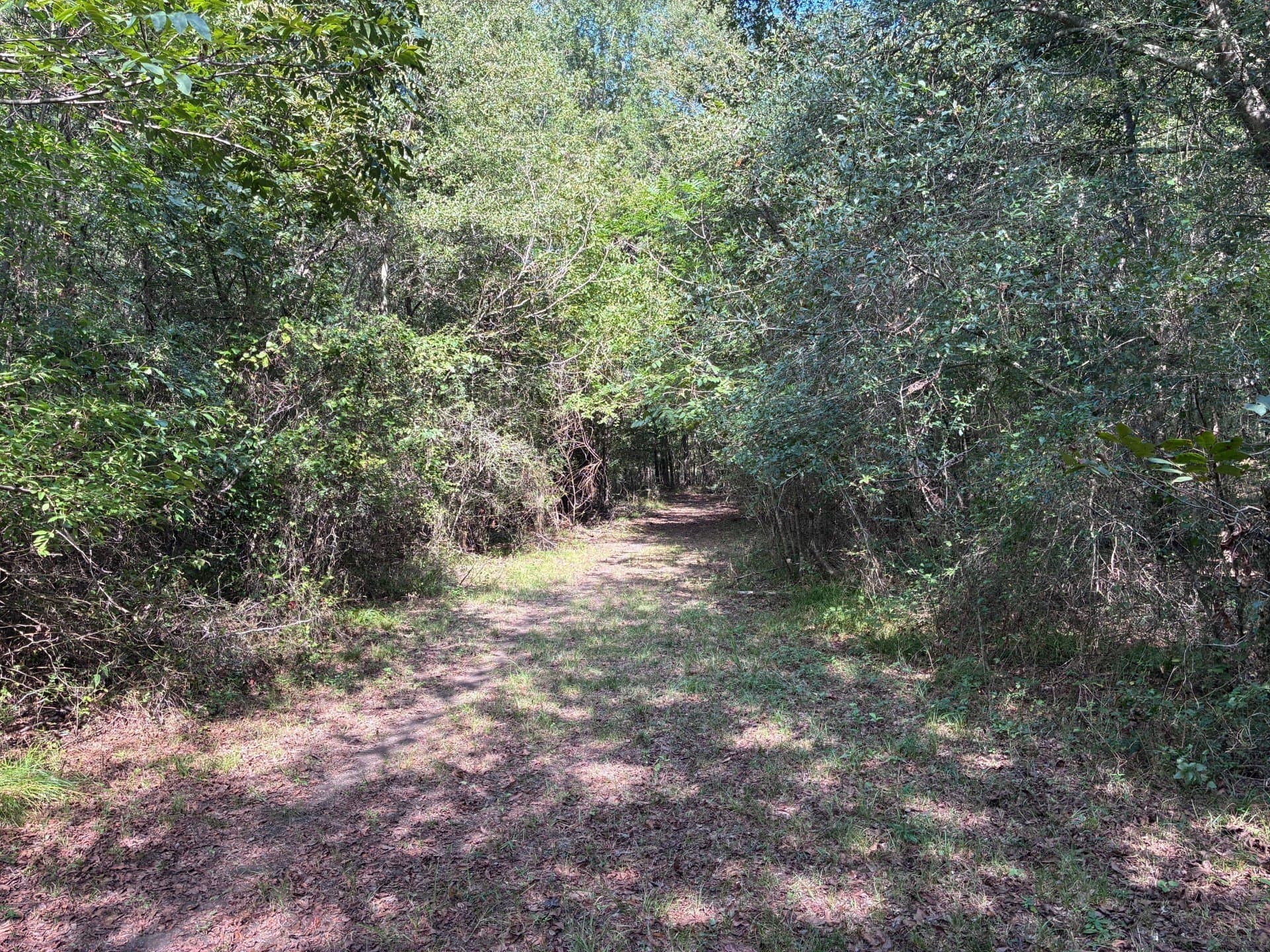 107.76 acres in Freestone County - photo 9