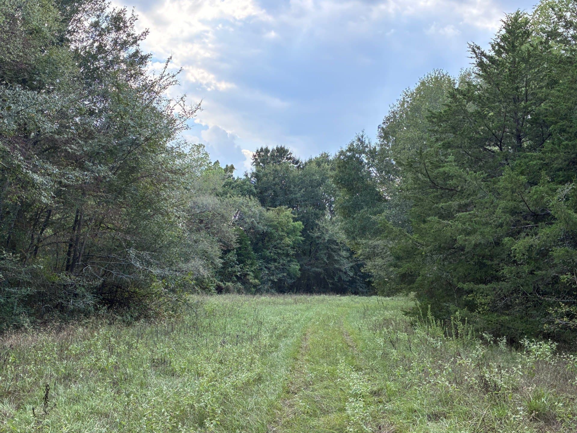 107.76 acres in Freestone County - photo 17