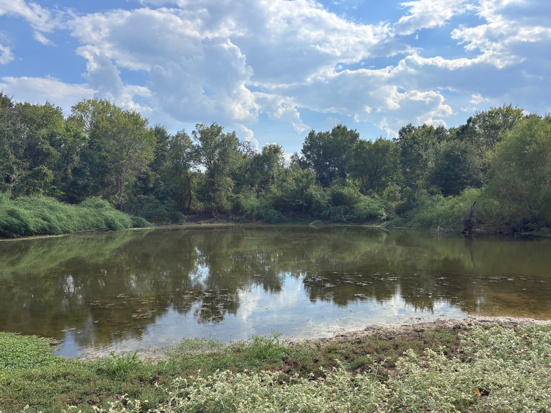 107.76 acres in Freestone County - photo 22
