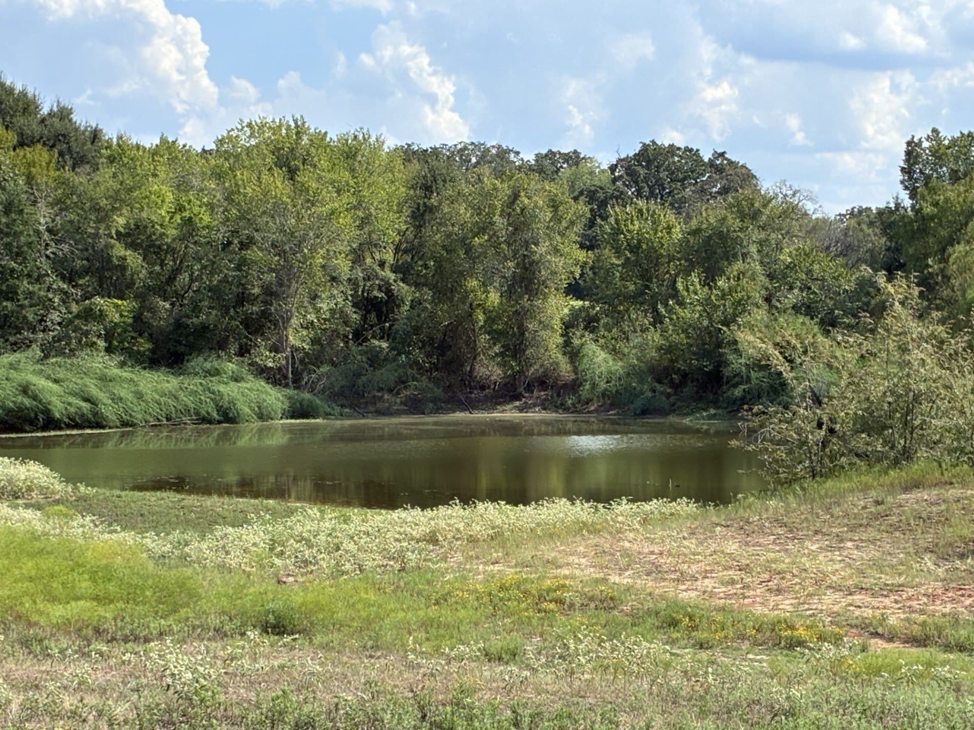 107.76 acres in Freestone County - photo 23