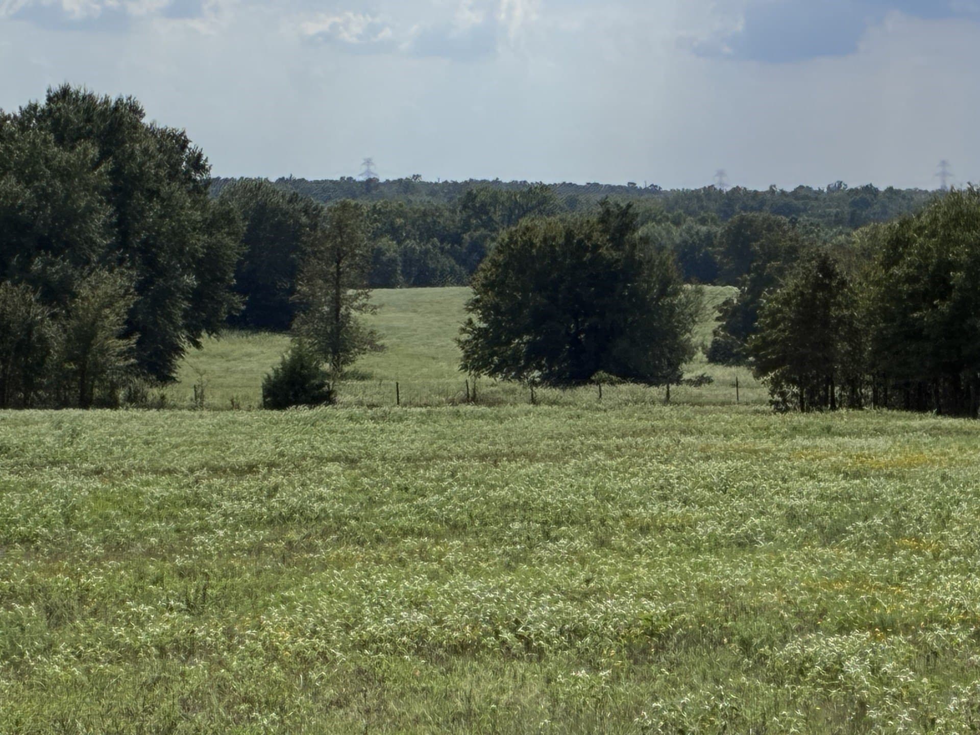 107.76 acres in Freestone County - photo 3