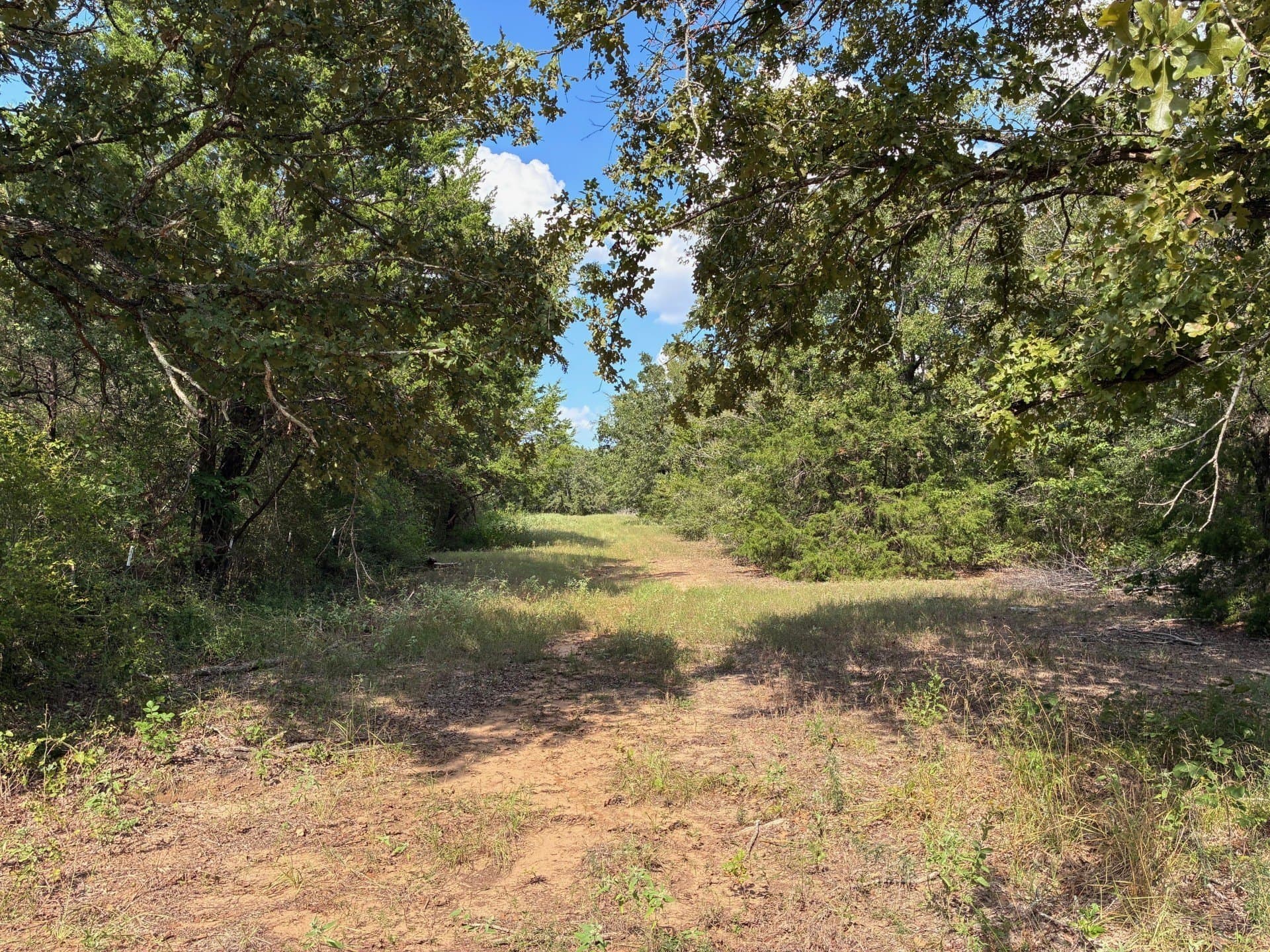 107.76 acres in Freestone County - photo 18