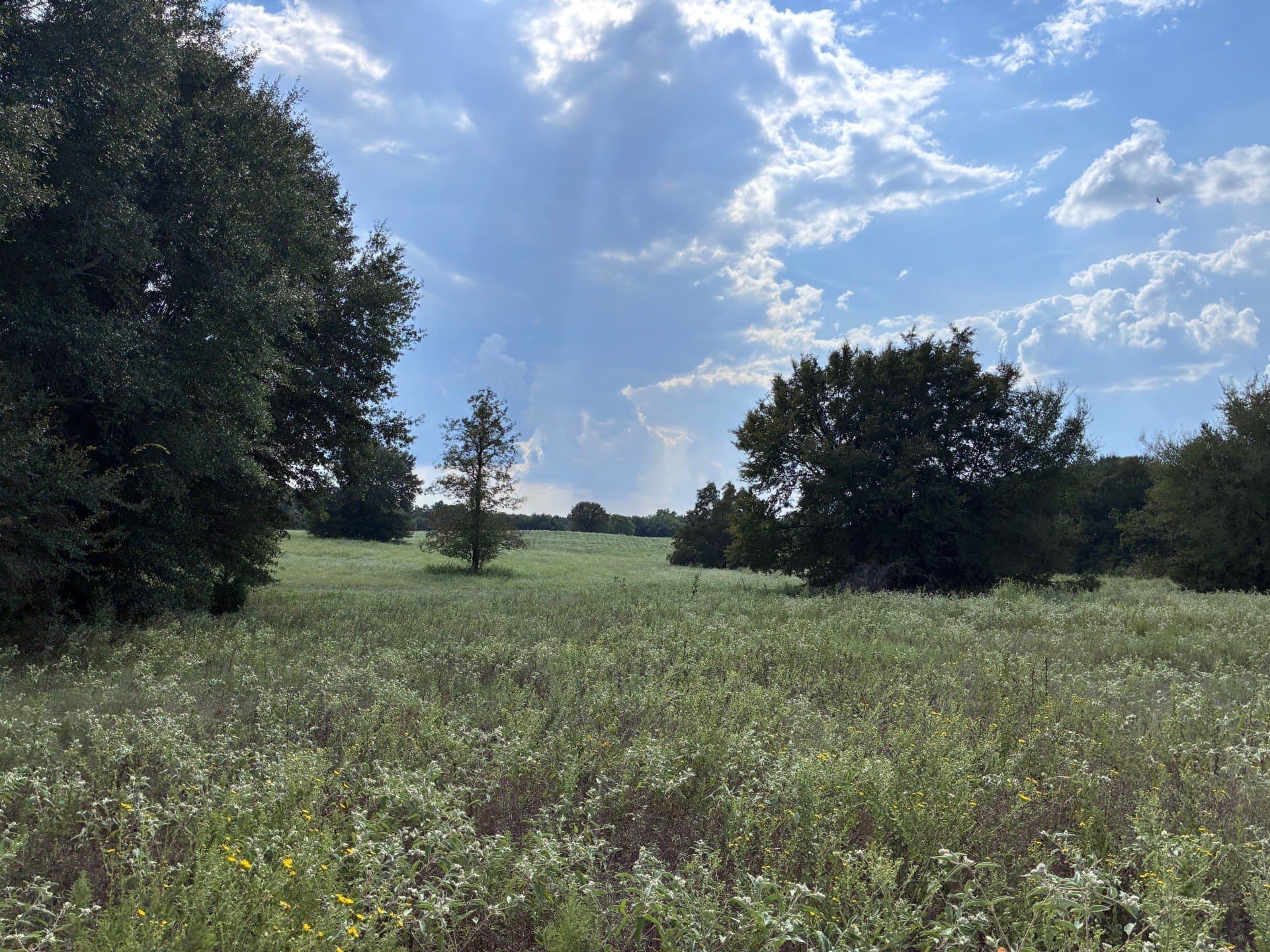 107.76 acres in Freestone County - photo 10