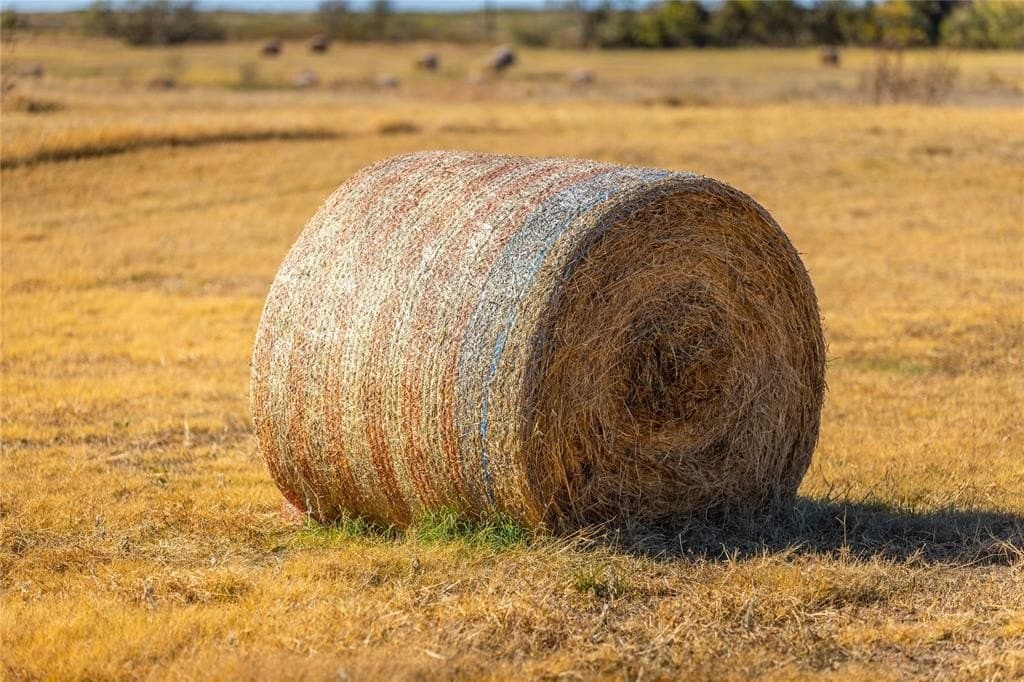 14 acres in Wise County gallery image 2