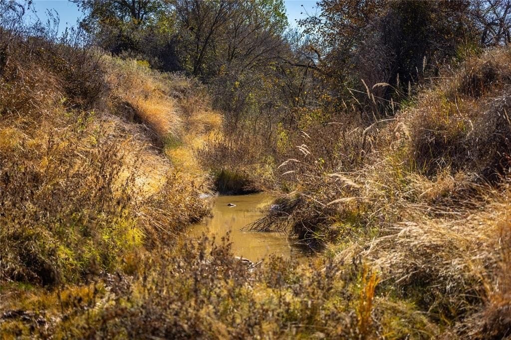 14 acres in Wise County gallery image 3