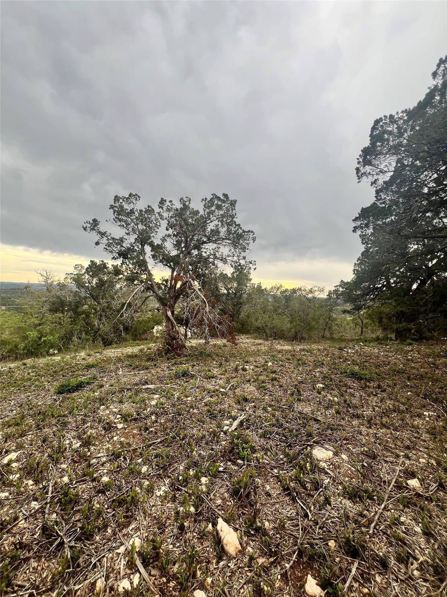 15.41 acres in Travis County - photo 13