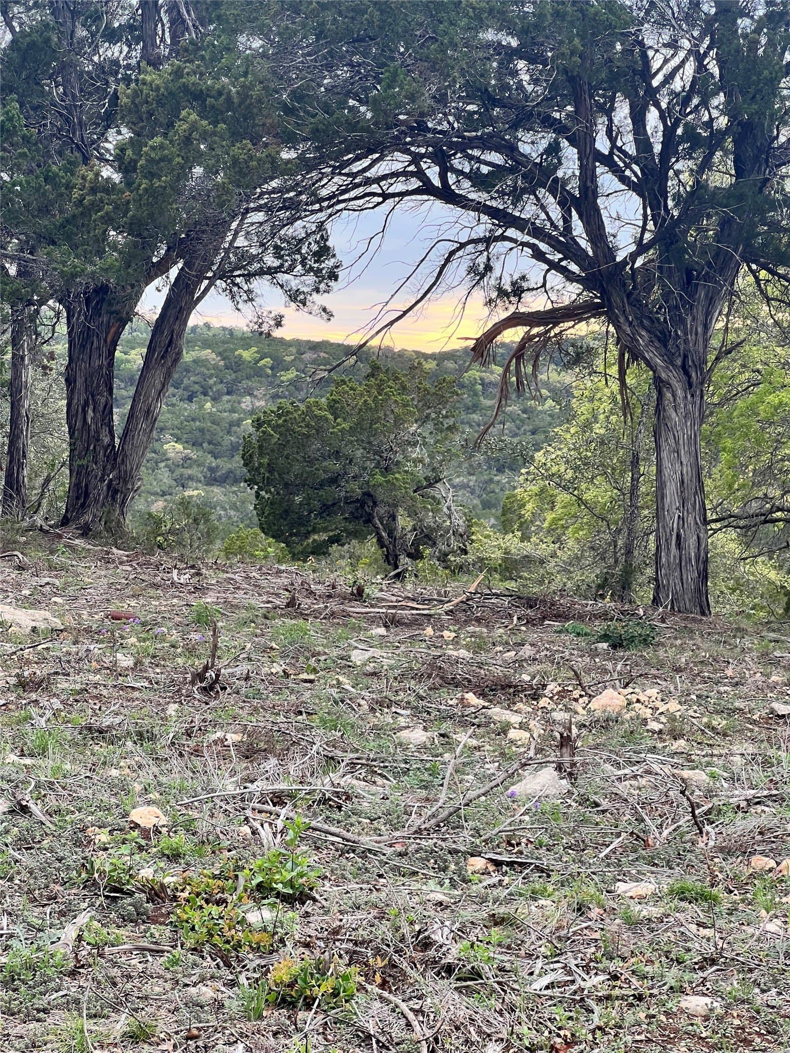 15.41 acres in Travis County - photo 14
