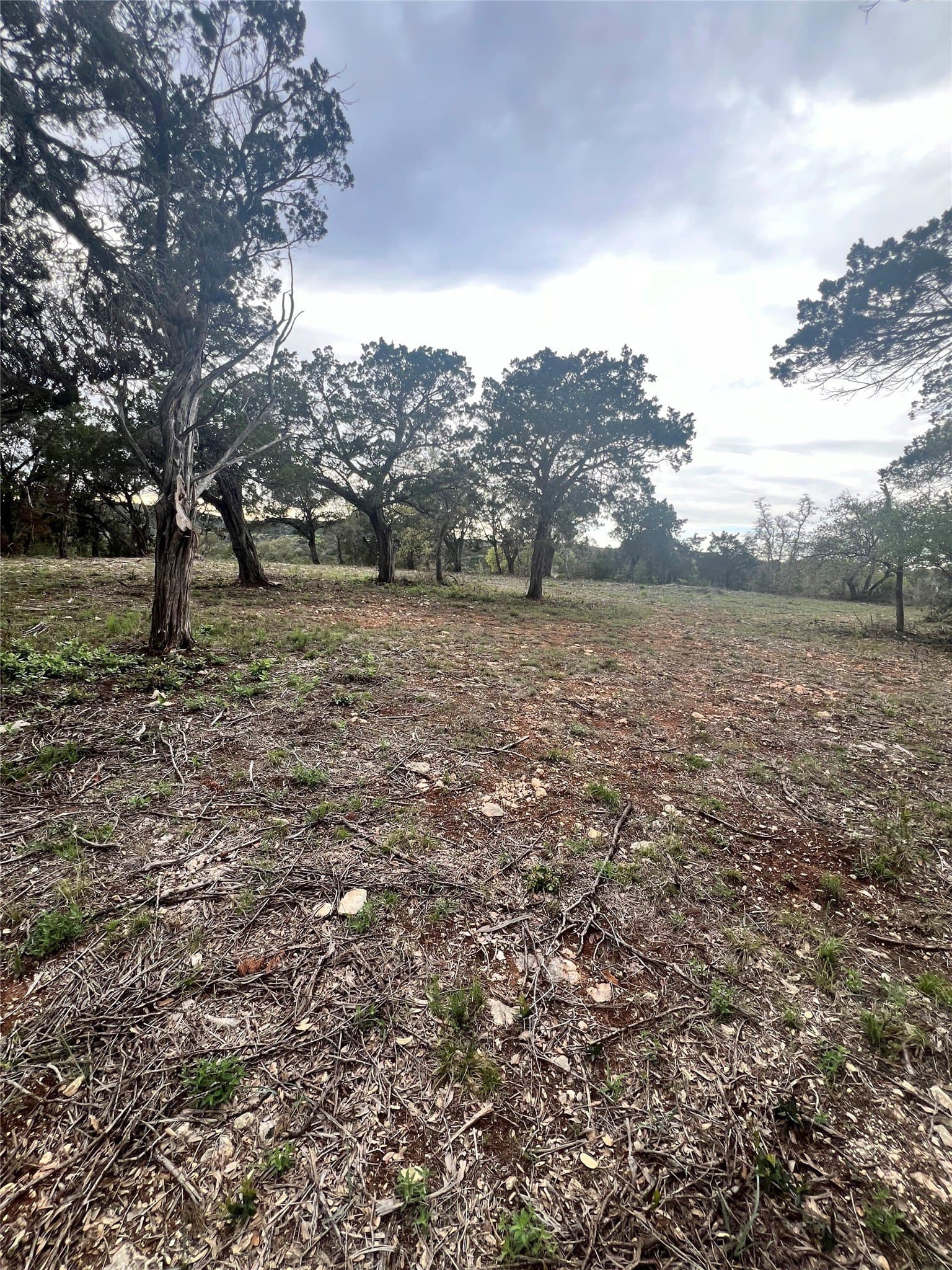 15.41 acres in Travis County - photo 3